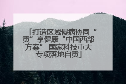 打造区域慢病协同“贡”享健康“中国西部方案” 国家科技重大专项落地自贡