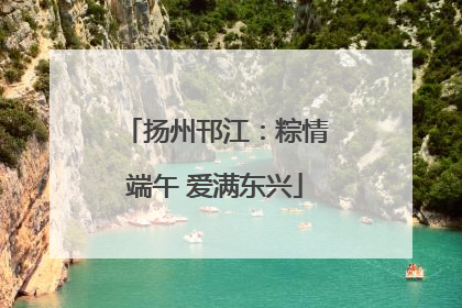 扬州邗江：粽情端午 爱满东兴