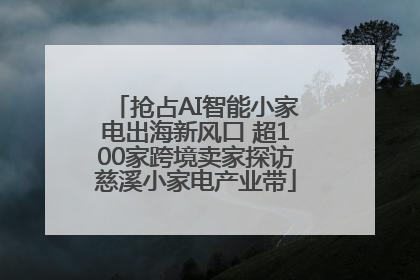 抢占AI智能小家电出海新风口 超100家跨境卖家探访慈溪小家电产业带