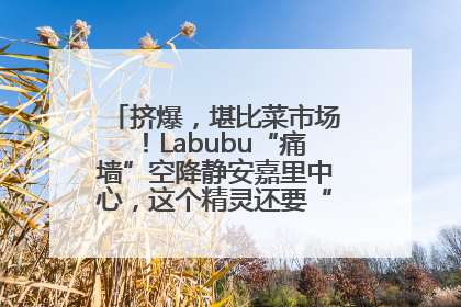 挤爆，堪比菜市场！Labubu“痛墙”空降静安嘉里中心，这个精灵还要“突袭”便利店？