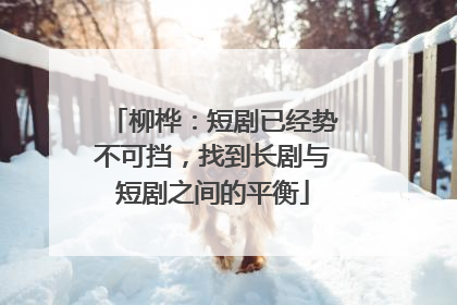 柳桦：短剧已经势不可挡，找到长剧与短剧之间的平衡