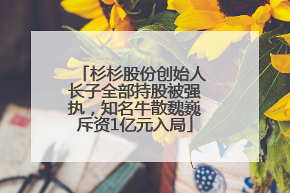 杉杉股份创始人长子全部持股被强执，知名牛散魏巍斥资1亿元入局
