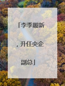 李季履新，升任央企副总