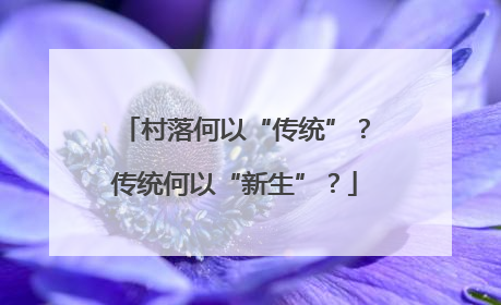 村落何以“传统”？传统何以“新生”？