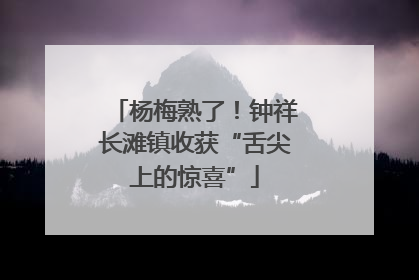 杨梅熟了！钟祥长滩镇收获“舌尖上的惊喜”