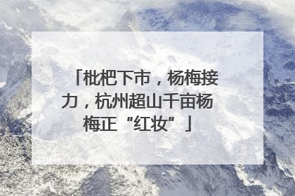 枇杷下市，杨梅接力，杭州超山千亩杨梅正“红妆”