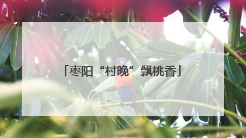 枣阳“村晚”飘桃香
