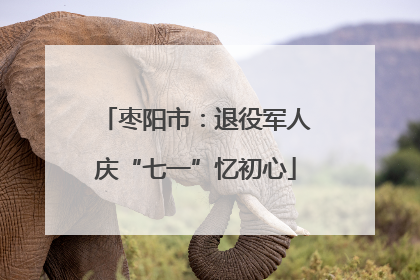 枣阳市：退役军人庆“七一”忆初心