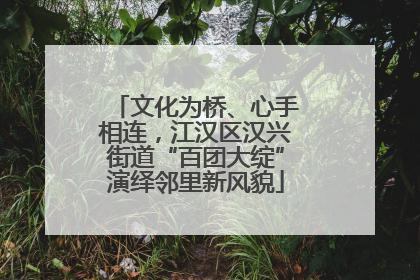 文化为桥、心手相连，江汉区汉兴街道“百团大绽”演绎邻里新风貌
