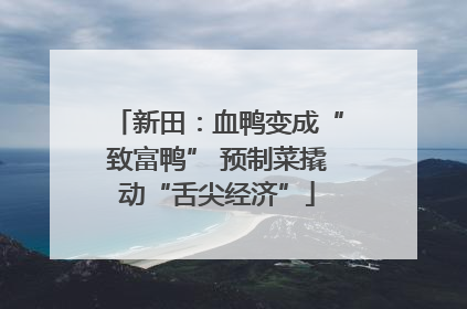 新田：血鸭变成“致富鸭” 预制菜撬动“舌尖经济”