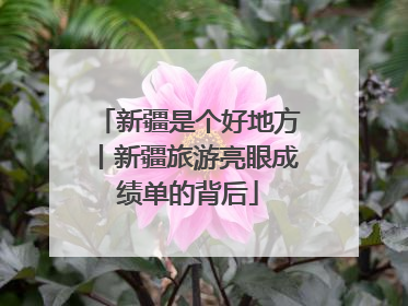 新疆是个好地方丨新疆旅游亮眼成绩单的背后