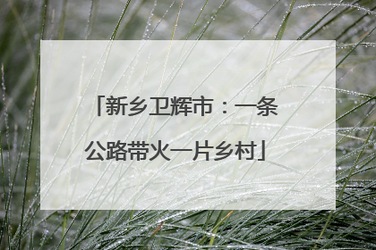 新乡卫辉市：一条公路带火一片乡村
