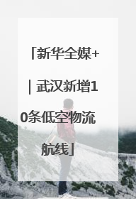 新华全媒+｜武汉新增10条低空物流航线
