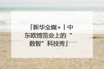 新华全媒+丨中东欧博览会上的“数智”科技秀