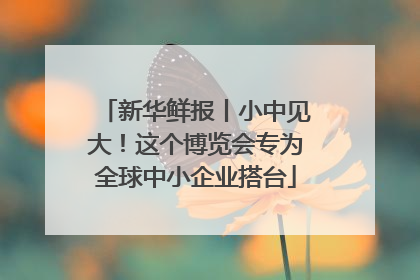新华鲜报丨小中见大！这个博览会专为全球中小企业搭台