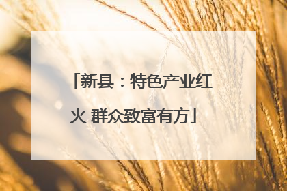 新县：特色产业红火 群众致富有方