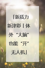 新质力 新津彩丨体外“大脑”也能“开”无人机