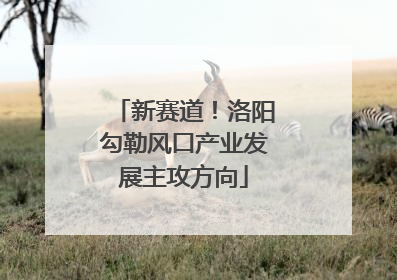 新赛道！洛阳勾勒风口产业发展主攻方向