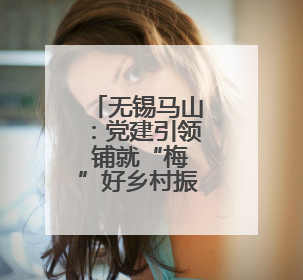 无锡马山：党建引领 铺就“梅”好乡村振兴路
