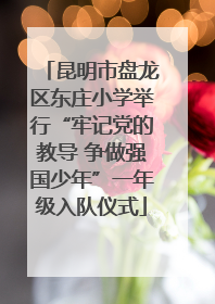昆明市盘龙区东庄小学举行“牢记党的教导 争做强国少年”一年级入队仪式