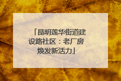 昆明莲华街道建设路社区：老厂房焕发新活力
