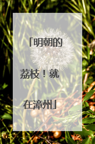 明朝的荔枝！就在漳州