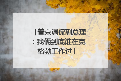 普京调侃副总理：我俩到底谁在克格勃工作过