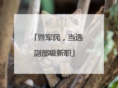 暨军民，当选副部级新职