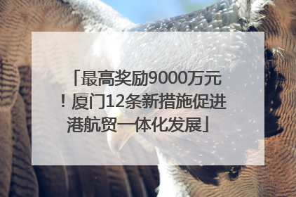 最高奖励9000万元！厦门12条新措施促进港航贸一体化发展