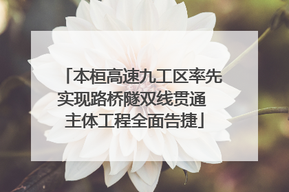 本桓高速九工区率先实现路桥隧双线贯通 主体工程全面告捷