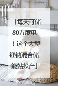 每天可储80万度电！这个大型锂钠混合储能站投产