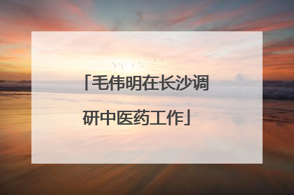 毛伟明在长沙调研中医药工作