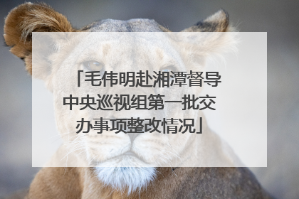 毛伟明赴湘潭督导中央巡视组第一批交办事项整改情况