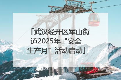 武汉经开区军山街道2025年“安全生产月”活动启动