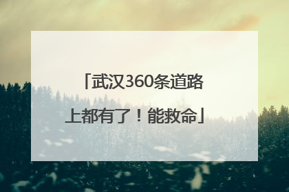 武汉360条道路上都有了！能救命