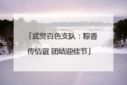 武警百色支队：粽香传情谊 团结迎佳节