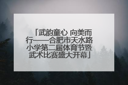 武韵童心 向美而行——合肥市天水路小学第二届体育节暨武术比赛盛大开幕