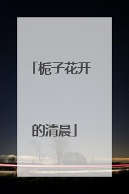 栀子花开的清晨