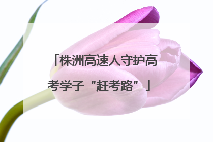 株洲高速人守护高考学子“赶考路”