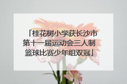 桂花树小学获长沙市第十一届运动会三人制篮球比赛少年组双冠