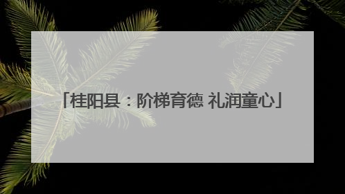 桂阳县：阶梯育德 礼润童心