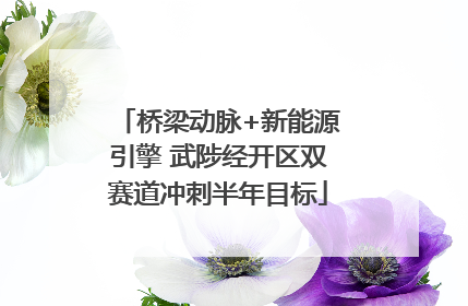 桥梁动脉+新能源引擎 武陟经开区双赛道冲刺半年目标