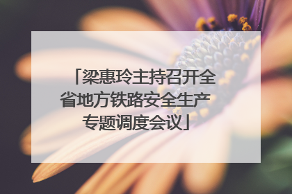 梁惠玲主持召开全省地方铁路安全生产专题调度会议