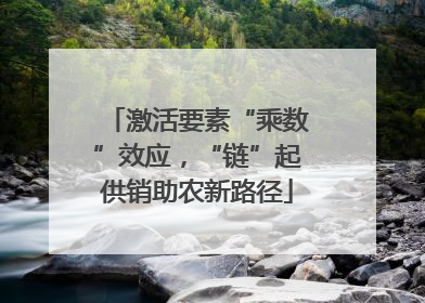 激活要素“乘数”效应，“链”起供销助农新路径