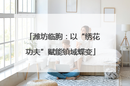 潍坊临朐：以“绣花功夫”赋能镇域蝶变