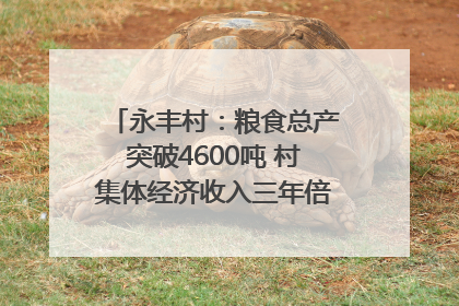 永丰村：粮食总产突破4600吨 村集体经济收入三年倍增｜牵挂的村