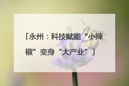 永州：科技赋能“小辣椒”变身“大产业”