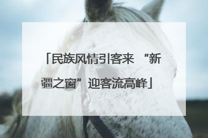 民族风情引客来 “新疆之窗”迎客流高峰