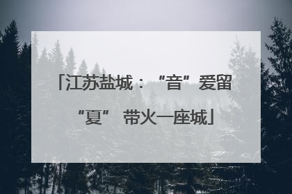 江苏盐城：“音”爱留“夏” 带火一座城
