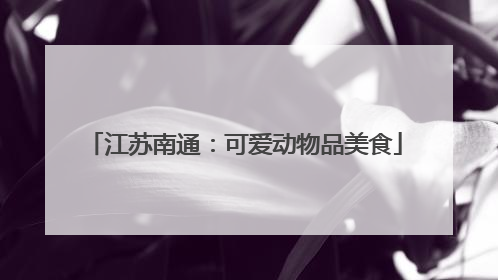 江苏南通：可爱动物品美食